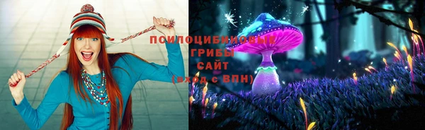 прущий лед Краснослободск