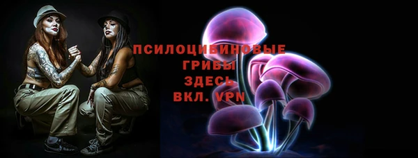 стафф Галич